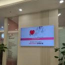 강남함몰유두 수술 / 뷰앤유외과의원 후기