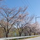 구심농장 이미지