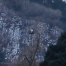 J0059 이미지
