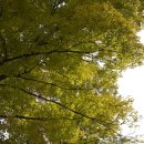 석바위한의원 이미지