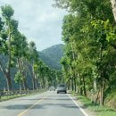 GS25단양가곡점 | 충북 단양 단체 여행 독채민박 숙소 가곡할배민박