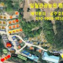 일월관광농원 캠핑장 이미지