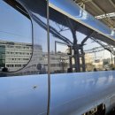 진상용농장 | 강릉 여행 ① 강릉역, 강릉중앙시장, 용춘, 옥시기농장, 강릉베이글, 그리다유리알유희, 강릉중앙짬뽕빵...