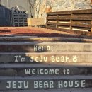 베어하우스 | 크리스마스 포토존 끝판왕 제주베어하우스 솔직후기 주차걱정 NO!