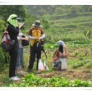 상기농장 이미지