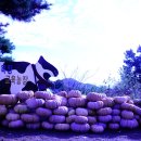 장현목장 이미지