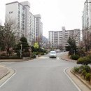 분당로263번길 이미지