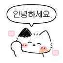 베니어 스파(Venir spa) 이미지