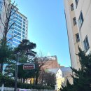 상3주민지원센터 | 마포구365구민센터 시설 방문 후기 +천문대 예약방법