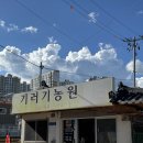 옛날홍가네 | 광주 치킨 맛집 홍가네시장통닭 내돈내산 웨이팅 예약