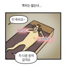 뭐??갓생??화장??크롭티?? 어이없어 진정한 갓생은.twt 이미지