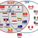 트럼프 당선 후 변화 # 3 - 무역 협정 TPP RCEP 이미지