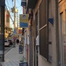 레이지캣(lazycat) 이미지