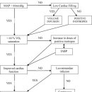 Levosimendan for Weaning from Cardiopulmonary Bypass after Coronary Artery Bypass Grafting 이미지