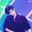 원그린 Daum카페