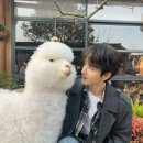 단건차X이란적 <여경:체인지링> 코믹 중드 추천 리뷰
