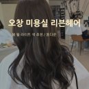 오창 미용실 리븐헤어 봄웜라이트 성공적인 톤 다운 후기