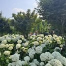 색동공원 Daum카페