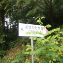 홍영식 선생묘 이미지