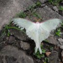 치악산계곡민박 이미지