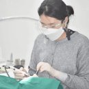 서울뿌리치과의원 이미지