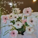 하롯샘에꽃필때