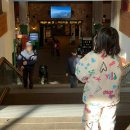 사계절썰매장 | 평창 대관령 MONA용평 사계절썰매장 후기 아이랑 겨울 방문