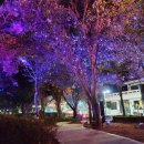 금남로 공원 이미지