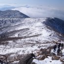 신백사 네이버블로그