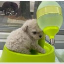 나라애견본점 이미지