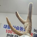 성동고 16회 우보회 2026년 8월 대천항 푸른 바다에서 다시 찾은 청춘 이미지