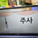 [안전교육]&#34;약의 종류에 대해 알아보아요~ &#34;💊💉🩹🩺💊💉🩹🩺 이미지