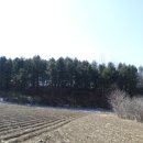 횡성군둔내면화동보건진료소 이미지