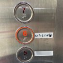 더누리개 이미지