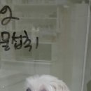 24시프라임동물병원 이미지