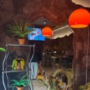 위드미경상대정문점 | 진주 가좌동 경대 근처 데이트코스 타코 맛집 타코이떠 다녀온 후기