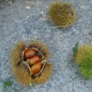 기만농장 이미지