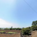 김앤김공인중개사사무소 이미지