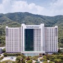 소노펠리체 빌리지 A~D 비발디파크 네이버블로그