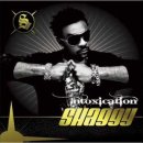 Shaggy-What's love(feat.Akon) 이미지