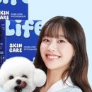 펫스토어 이미지