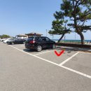 지에스25 낙산해송점 네이버블로그