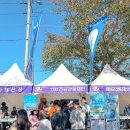 해남공원 앞 | 해남미남축제 2025 일정 체험 후기 11월 축제 전라도 여행