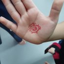 창조 태권도장 이미지