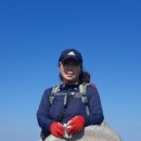 에스케이치과기공소 이미지