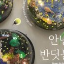 그린아트스콜레지산범물미술교습소