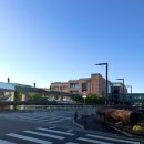 파주 3.1운동 발 | [경기도 파주] 롯데프리미엄아울렛 나이키 신발 세일 득템 후기 (+골든듀, 로제도르)