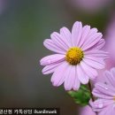 원당한의원 이미지