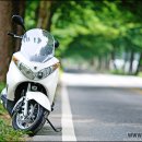 [국내출시예정] suzuki BURGMAN125 (버그만125) 시승소감 이미지