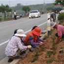 원당2리 이미지